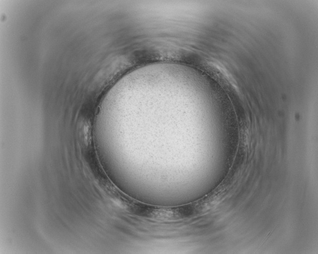 X0000087390123200705042020