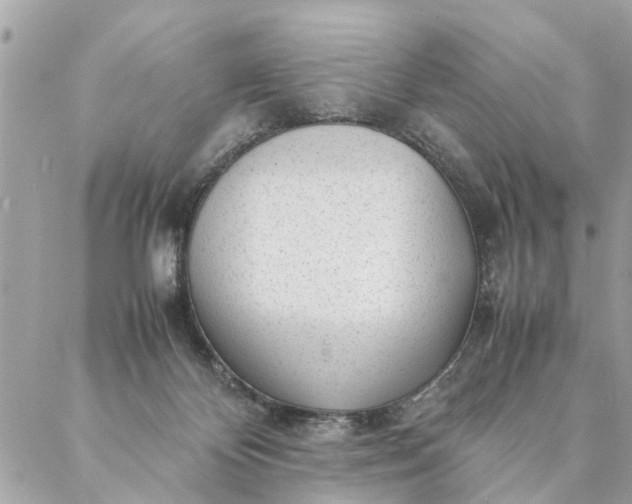 X0000087390124200705042020