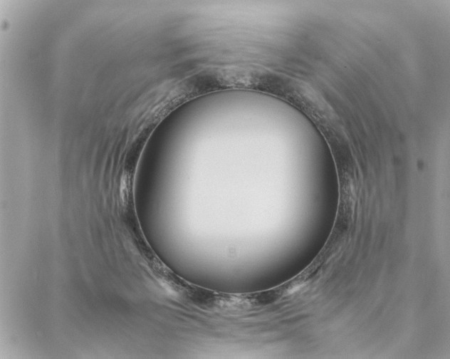 X0000087390125200705042020