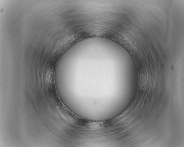 X0000087390126200705042020