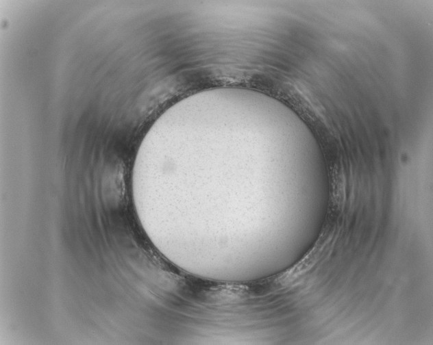 X0000087390128200705042020