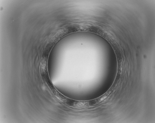 X0000087390129200705042020