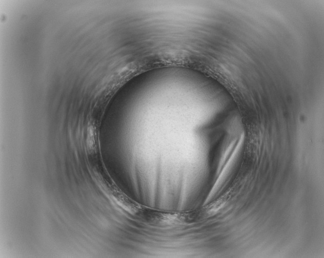 X0000087390130200705042020