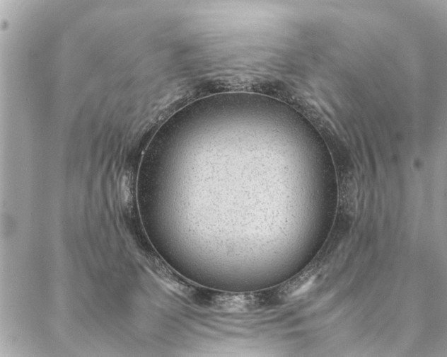 X0000087390131200705042020