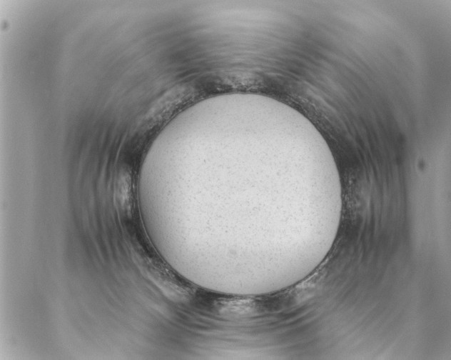 X0000087390132200705042020