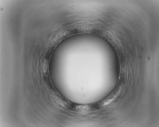 X0000087390133200705042020