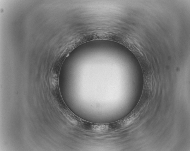 X0000087390135200705042020