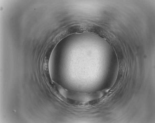 X0000087390137200705042020