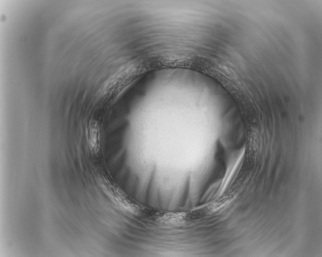 X0000087390138200705042020