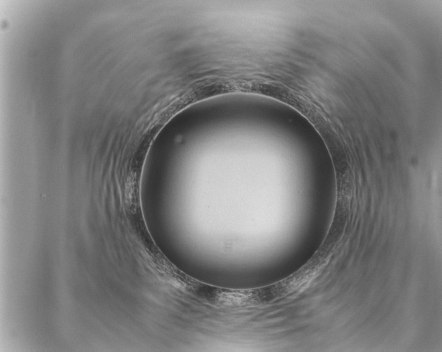 X0000087390139200705042020