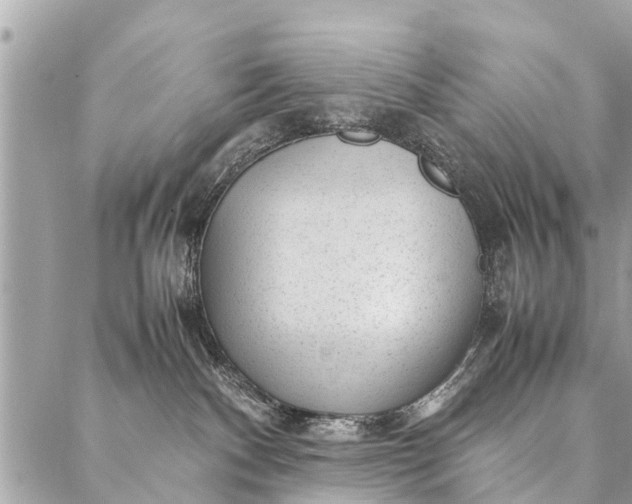 X0000087390140200705042020