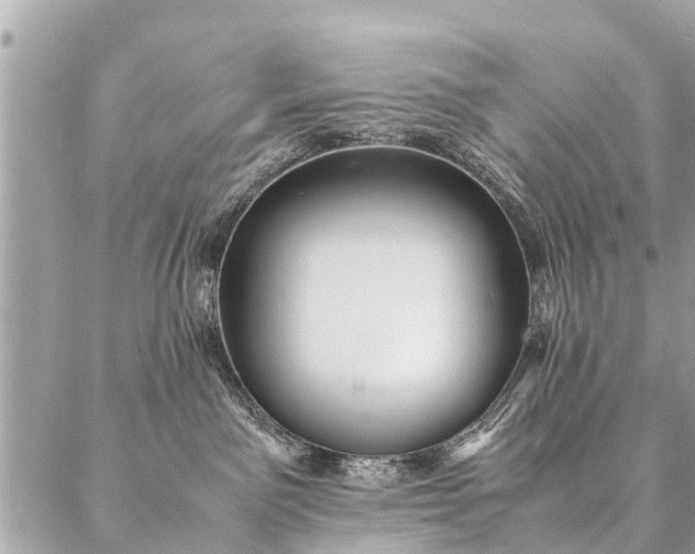 X0000087390141200705042020