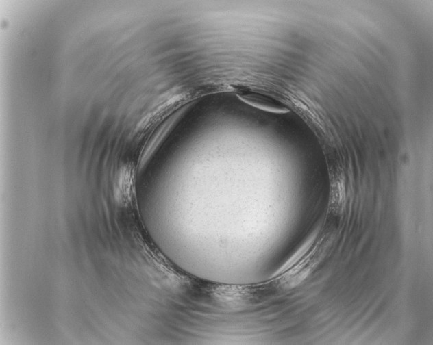 X0000087390142200705042020