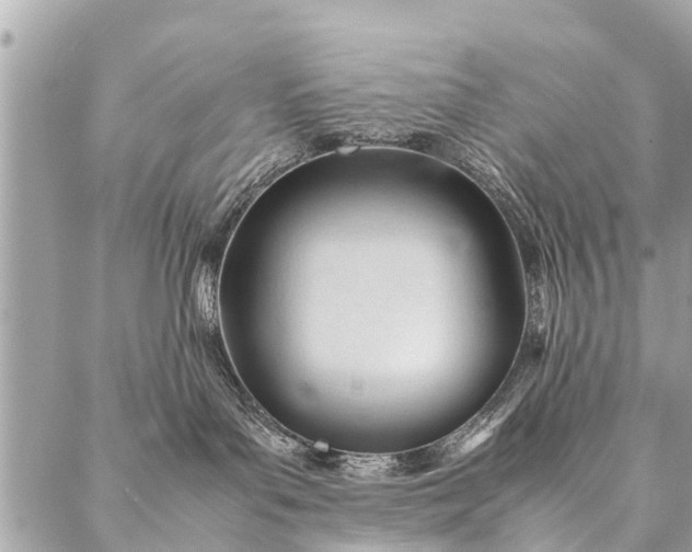 X0000087390143200705042020