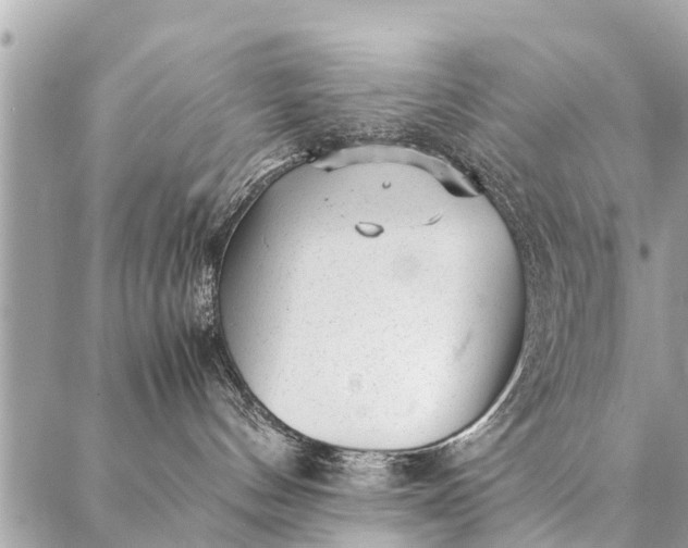 X0000087390144200705042020