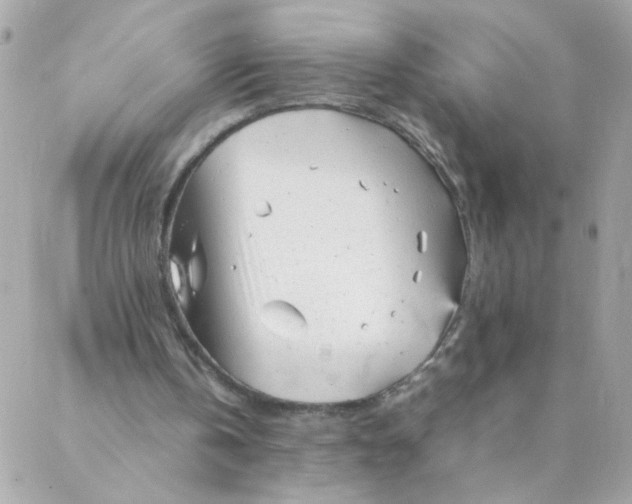 X0000087390146200705042019