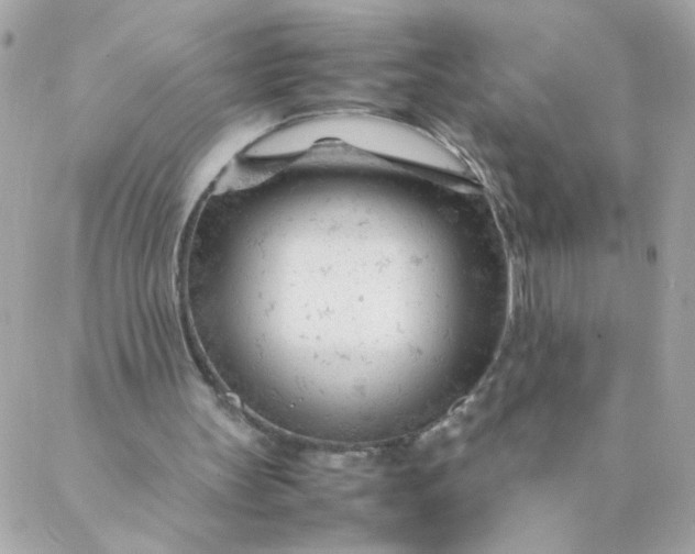 X0000087390147200705042019