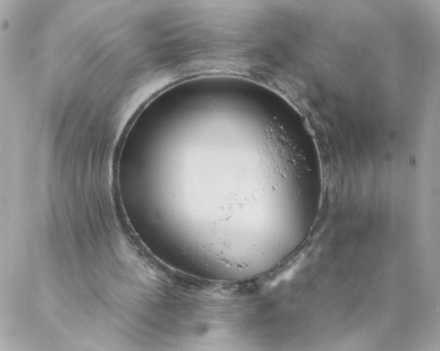 X0000087390148200705042019