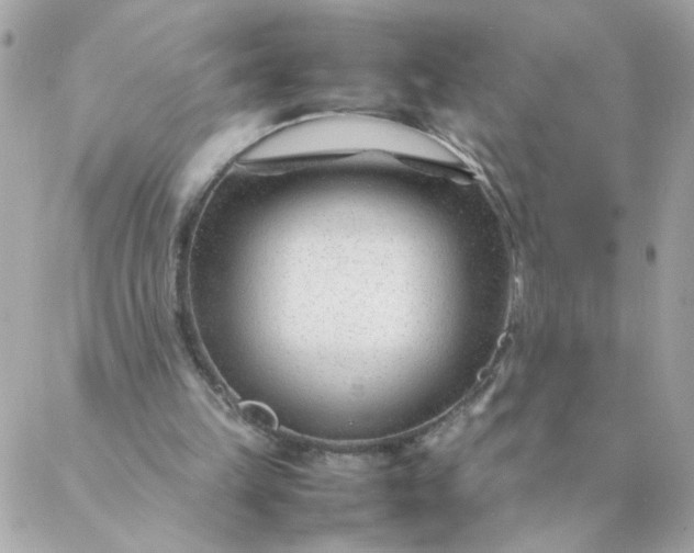 X0000087390149200705042019