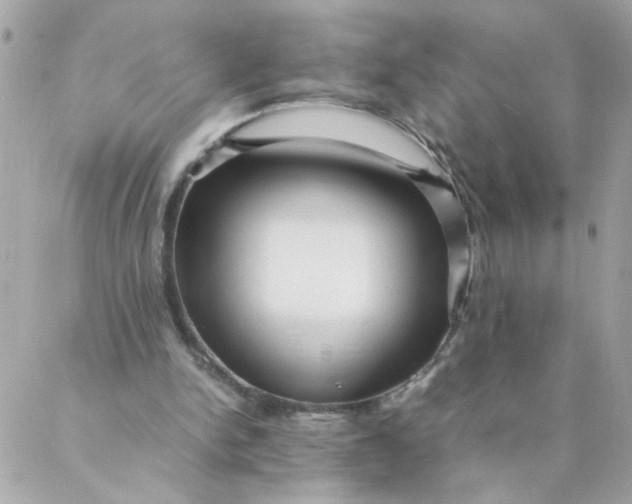 X0000087390150200705042019