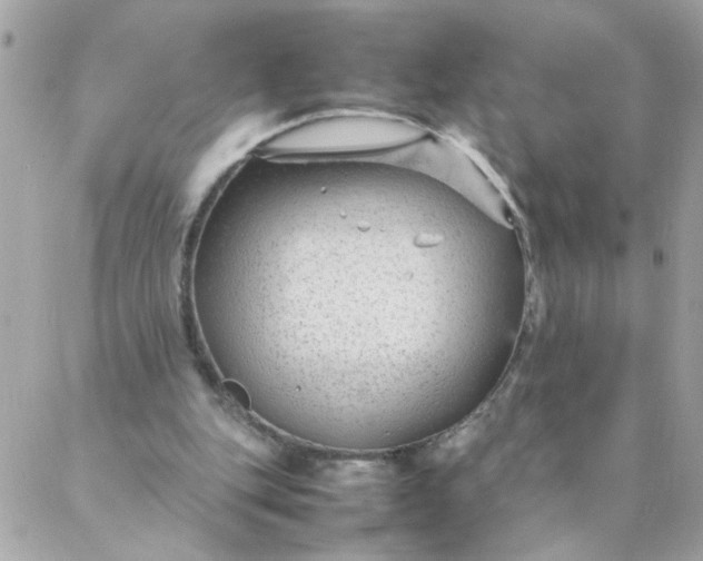 X0000087390151200705042019