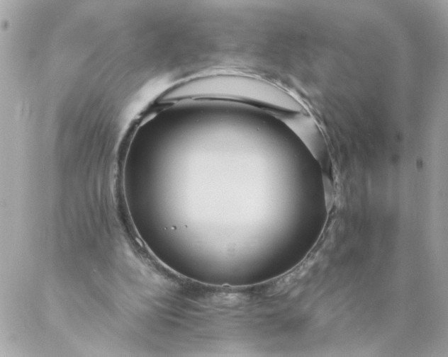 X0000087390152200705042019