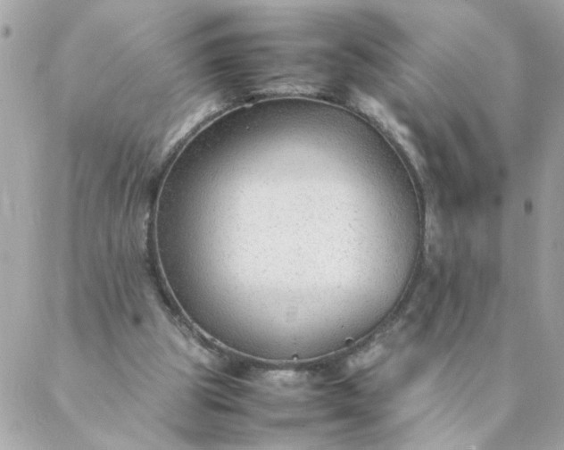 X0000087390153200705042019