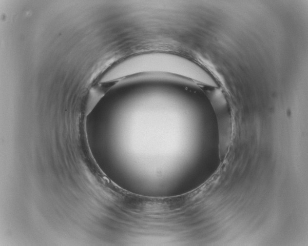 X0000087390154200705042019