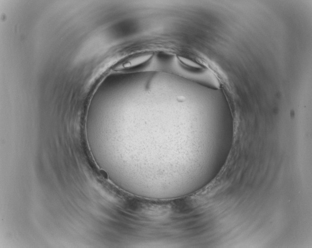 X0000087390155200705042019