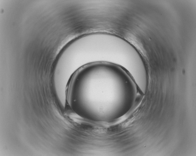 X0000087390156200705042019