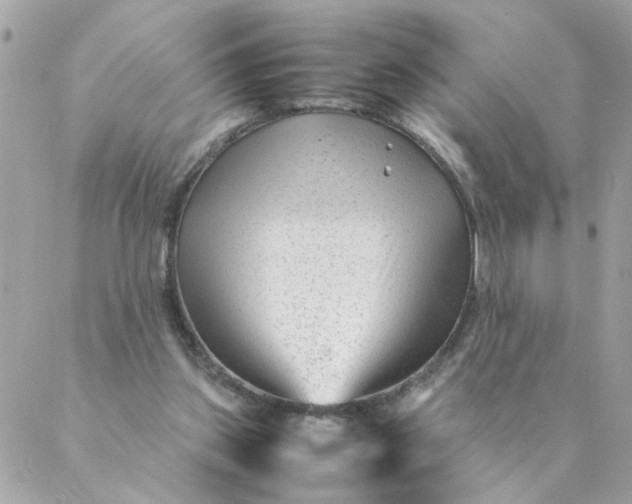 X0000087390157200705042019