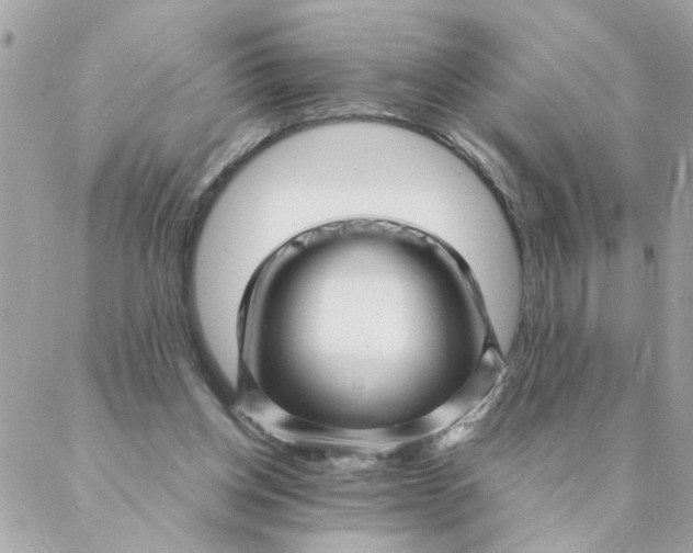 X0000087390158200705042019