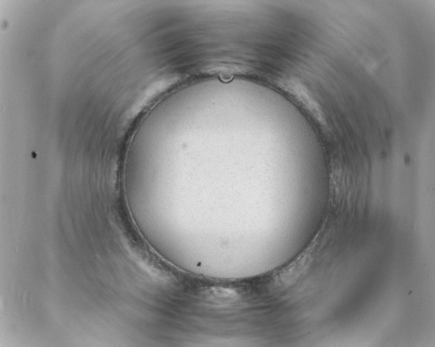 X0000087390159200705042019