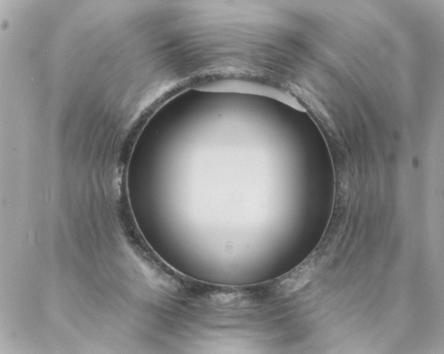 X0000087390160200705042019