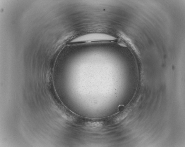 X0000087390161200705042019