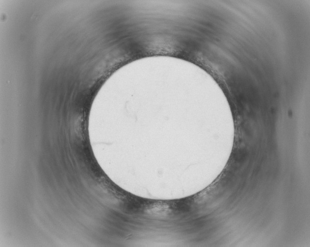 X0000087390162200705042019