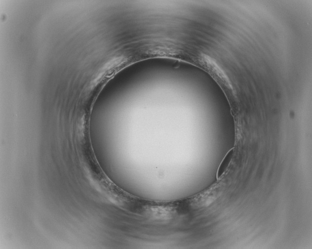 X0000087390163200705042019