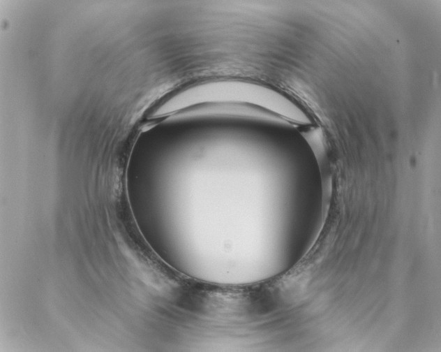 X0000087390164200705042019