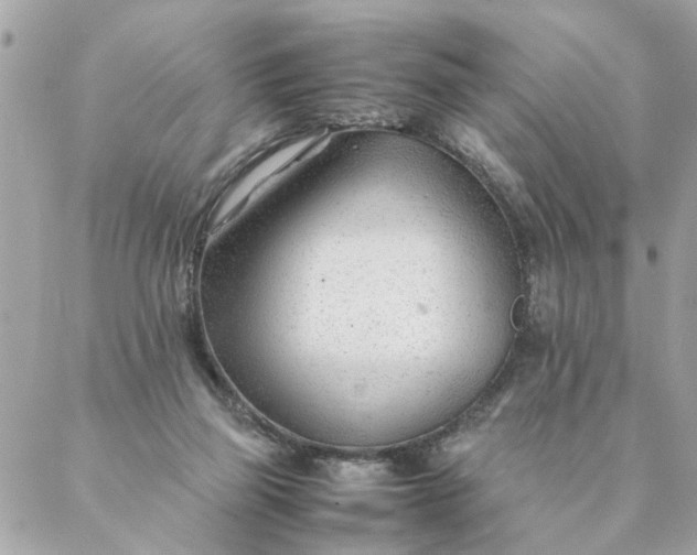 X0000087390165200705042019