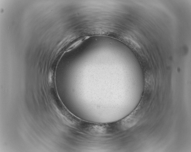 X0000087390166200705042019