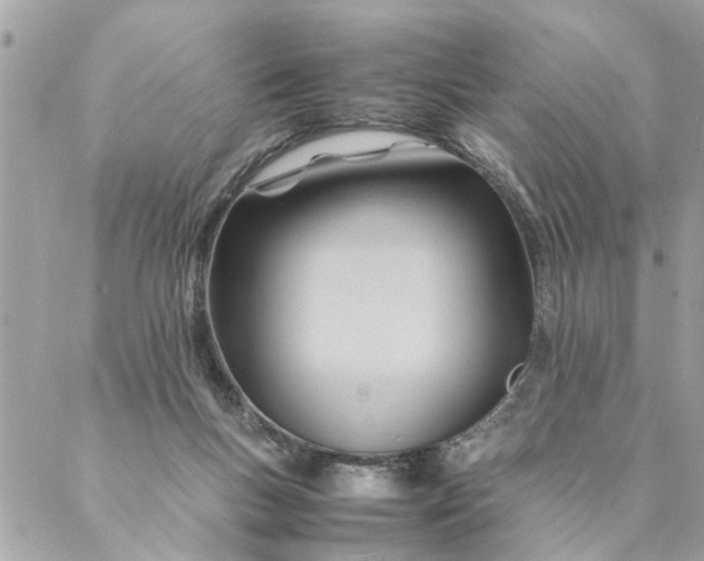 X0000087390167200705042019