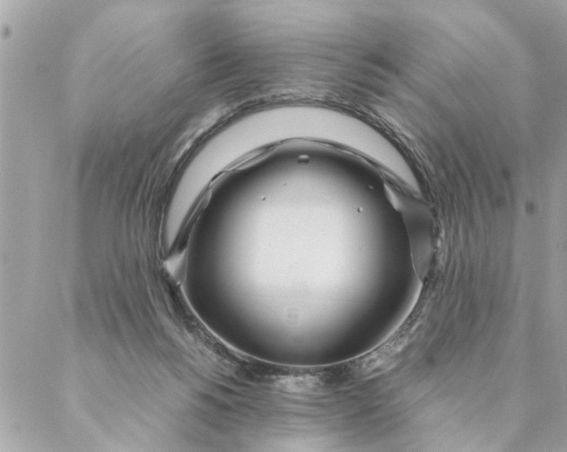 X0000087390168200705042019