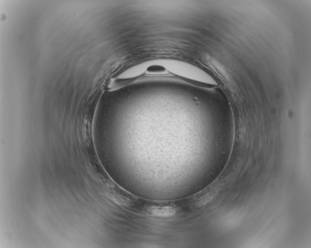 X0000087390169200705042019