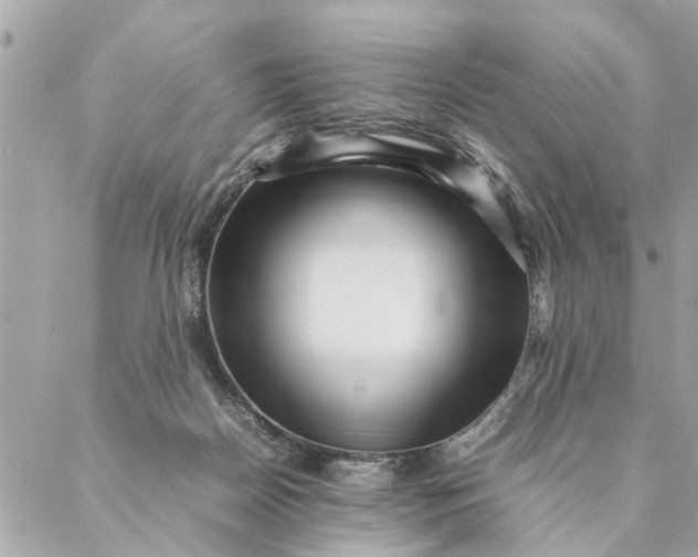 X0000087390170200705042019