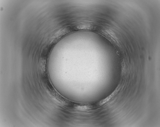 X0000087390171200705042019