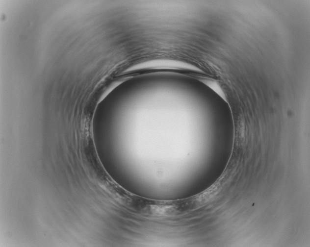 X0000087390172200705042019