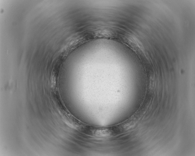 X0000087390173200705042019