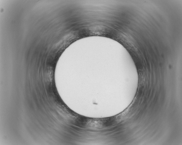 X0000087390174200705042019