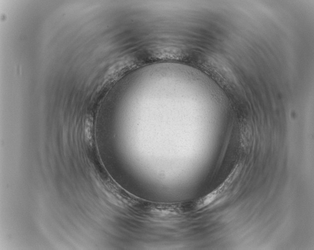 X0000087390175200705042019