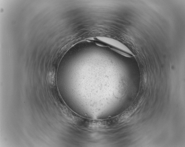 X0000087390177200705042019